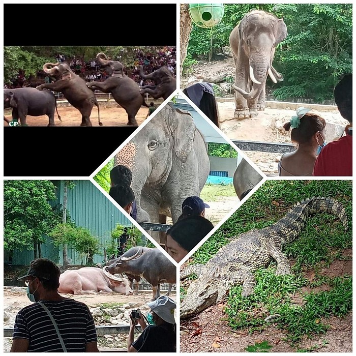 บริการรับ-ส่งสถานที่ท่องเที่ยว เหมาวันทำทัวร์ บริการรับ-ส่งทั่วไทย สะดวก รวดเร็ว ปลอดภัย โทร.0988594643