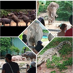 บริการรับ-ส่งพาเที่ยวตามสถานที่ท่องเที่ยว บริการทั่วไทย